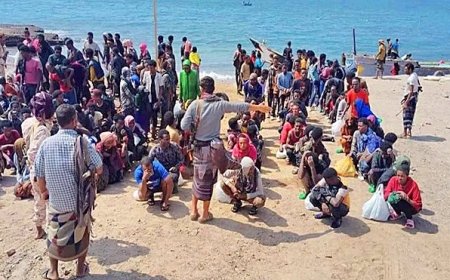 الأجهزة الأمنية  في شبوة تضبط 100 مهاجر خلال أقل من أسبوع