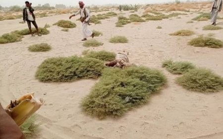 العثور على جثمان شاب مقتولًا من قِبل عصابة مجهولة في الجوف