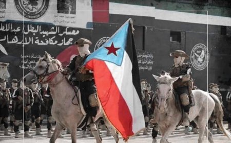 عمليات نوعية للقوات الجنوبية في عدة محافظات