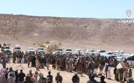 حلف القبائل يحذر السلطة المحلية ومسؤول حكومي يدعو مجلس القيادة للتدخل العاجل لإنهاء الأزمة