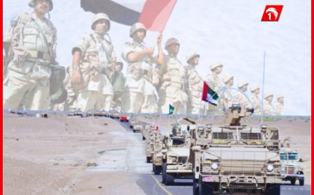 أول تعليق إماراتي حول مشاركتها عسكريًا في الهجوم على الحوثيين