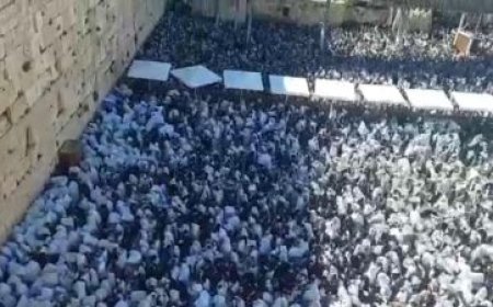 المستوطنين تجاوزوا الخطوط الحمراء في المسجد الأقصى.. ماذا عملوا