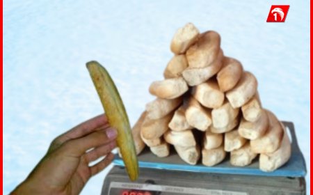 بعد التحايل بالوزن.. المخابز تقرّ زيادة بسعر (الروتي)!