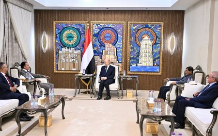 رئيس مجلس القيادة يشيد بالتطور الذي تشهده العلاقات اليمنية الموريتانية