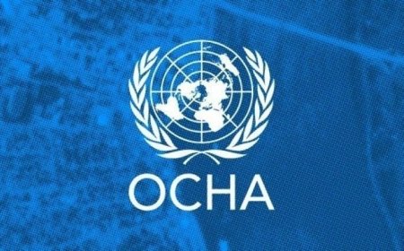 الأمم المتحدة تجدد دعوتها للمانحين الدوليين لتقديم دعم مالي عاجل لليمن