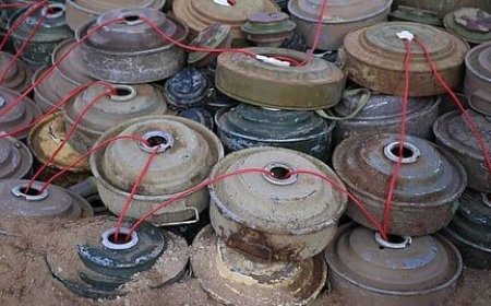 نزع 2548 لغمًا من مخلفات الحوثي منذ بداية أبريل