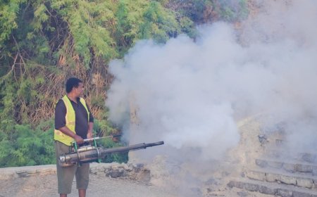 صحة البيئة في صيرة يواصل حملات الرش الضبابي لمكافحة البعوض الناقل للأمراض