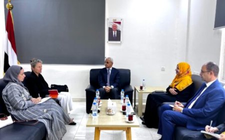 نائب وزير الخارجية يناقش مع السفيرة الهولندية مستجدات الوضع الإنساني والسياسي في اليمن
