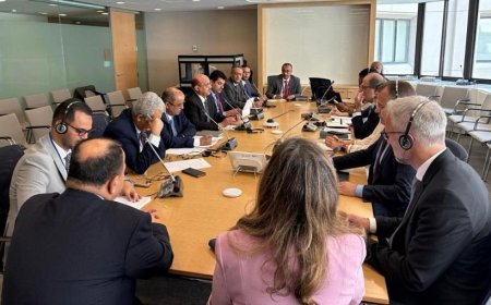 وزير المالية ومحافظ البنك المركزي يلتقيان مدير إدارة الشرق الأوسط وآسيا الوسطى بصندوق النقد الدولي