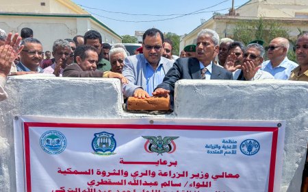 وزير الزراعة ومحافظ لحج يدشنان مشاريع جديدة بكلية ناصر للعلوم الزراعية