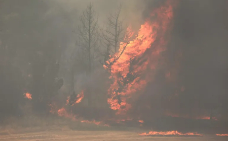 النيران تشتعل في اسرائيل..و السلطة الفلسطينية تعرض مساعدتها !