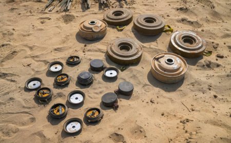 أبين.. مسام يتلف أكثر من 4 آلاف ذخيرة في عملية نوعية بوادي دوفس