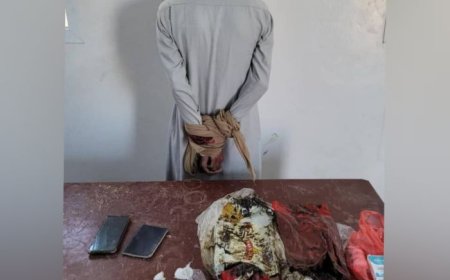 قوات دفاع شبوة تحبط محاولة تهريب مخدرات وتضبط المروج