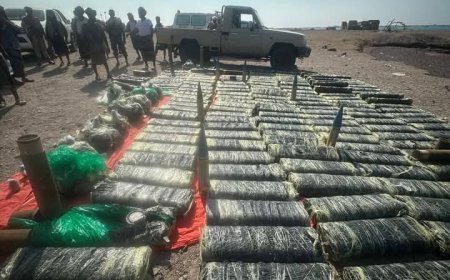 قوات الحملة الأمنية المشتركة تضبط قاربًا يحمل صواريخ وذخائر مهربة  قرب باب المندب