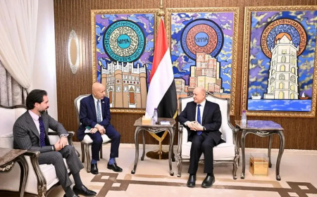الرئيس العليمي يبحث مع القائم بأعمال السفير الأمريكي التصعيد الحوثي والدعم الاقتصادي لليمن