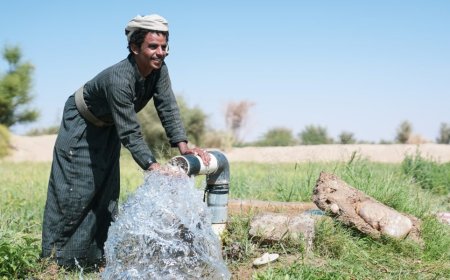 من حقول الموت إلى واحة للحياة.. مسام يعيد الطمأنينة لأبناء شبوة