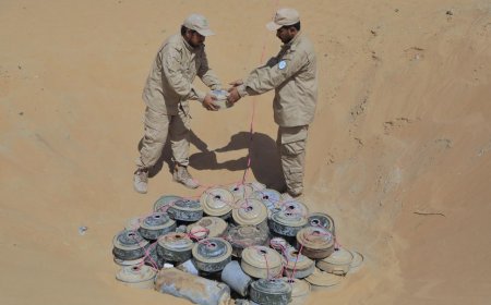 شبوة: مشروع مسام يتلف 600 لغم وعبوة ناسفة 