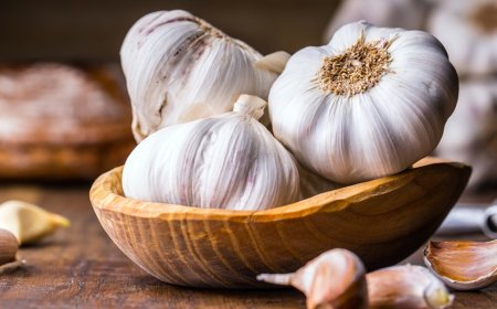 تعرف على تأثير الثوم على   مستوى السكر والكوليسترول في الدم
