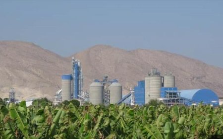 مسلحون يختطفون ستة من مدراء مصنع أسمنت الوحدة في أبين