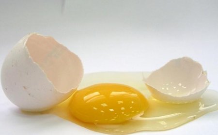 محكمة تحكم على الأم بتعويض ابنتها لأنها كسرت بيضة على جبهتها !