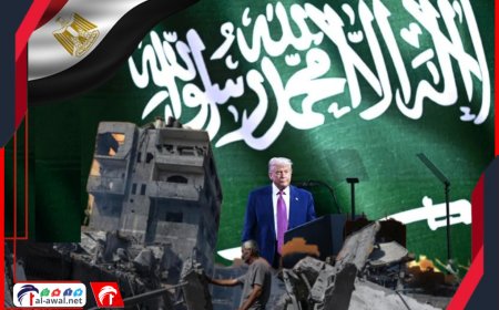 بعد تصريحات ترامب التاريخية حول غزة.. مصر أول دولة تعلق