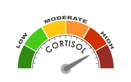 هرمون التوتر  "الكورتيزول " .. ماهي علامات ارتفاعه في الجسم ؟