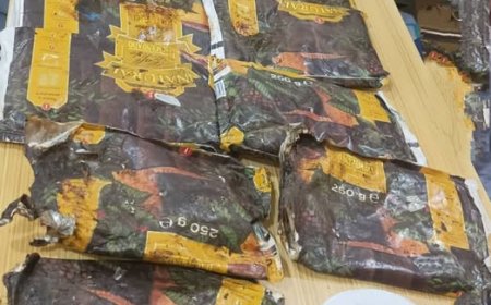 شرطة دار سعد تُحيل 13 كيلوجراماً من الحشيش المخدر إلى إدارة مكافحة المخدرات