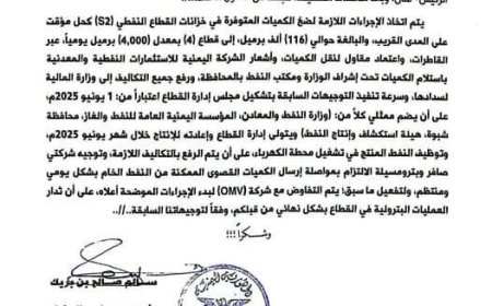 رئيس الوزارء يوجه بتشكيل إدارة جديدة لقطاع العقلة وضخ النفط الخام لكهرباء عدن