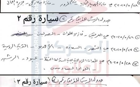الزهري يوجّه بتكثيف حملات الرش الضبابي في أحياء خورمكسر
