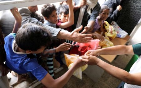 برنامج أممي: وضع الأمن الغذائي في اليمن لا يزال حرجاً