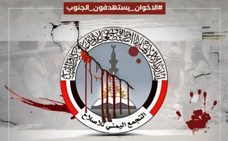 الإخوان يستهدفون الجنوب.. حملة إلكترونية تكشف اختراق الإخوان الناعم للدولة