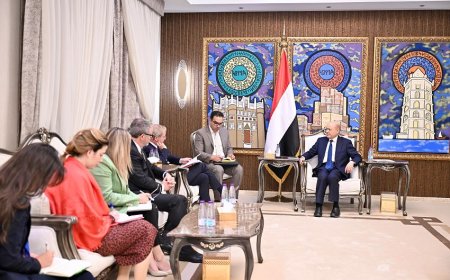 رئيس مجلس القيادة يستقبل نائب الامين العام للاتحاد الاوروبي