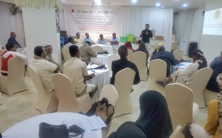 برعاية الوزير السقطري.. فعالية بمناسبة يوم النحل العالمي لتعزيز قطاع العسل في اليمن