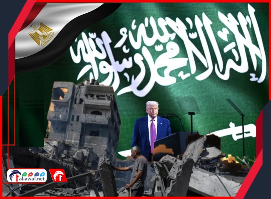بعد تصريحات ترامب التاريخية حول غزة.. مصر أول دولة تعلق