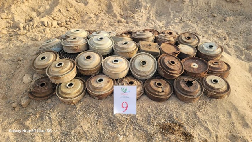 مسام" يُتلف 3,036 لغم وذخيرة غير منفجرة و6 صواريخ كاتيوشا في باب المندب