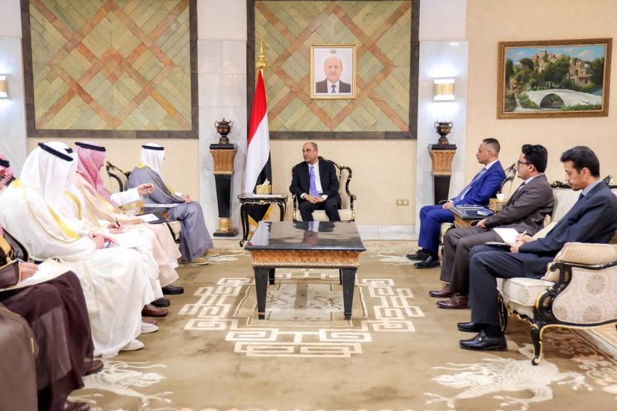 رئيس الوزراء يستقبل امين عام مجلس التعاون لدول الخليج العربي
