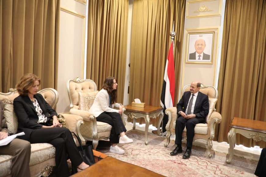 وزير الخارجية يلتقي المبعوثة النرويجية إلى اليمن