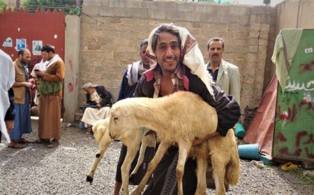 ارتفاع كبير في أسعار أضاحي العيد بعدن