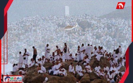 (1.5) مليون حاج بـ(34) لغة يدعون لفلسطين على صعيد عرفات
