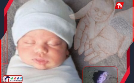 صرخة بريئة في ظلام أزقة صنعاء.. العثور على طفلة حديثة الولادة