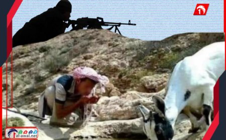 قناص حوثي يقتل راعي أغنام  في شبوة