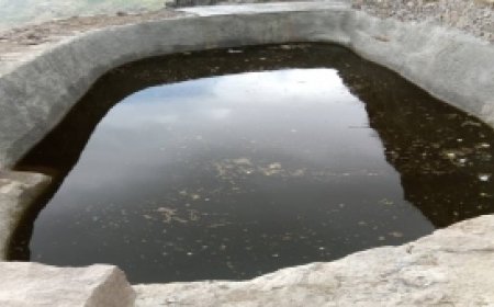 بسبب القات.. وفاة أربعة أشخاص غرقًا داخل بئر في إب