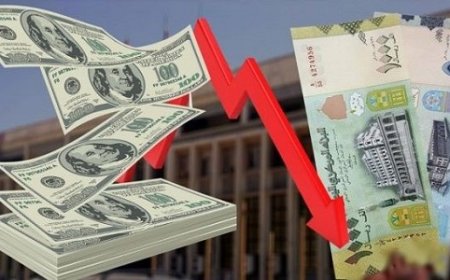 خبير اقتصادي يكشف عن الطريقة الوحيدة لإنقاذ العملة من الانهيار