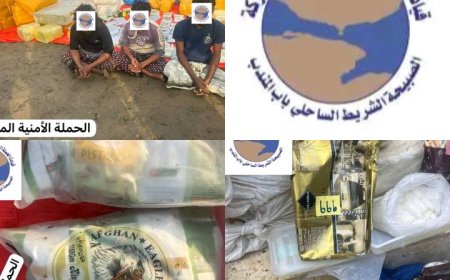 ضبط قارب على متنه نصف طن من الحشيش قرب باب المندب