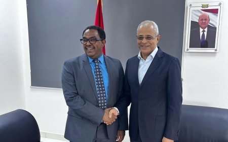 نائب وزير الخارجية يلتقي الممثل المقيم لمنظمة (الفاو) بمناسبة انتهاء فترة عمله