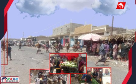 من صمت الحرب إلى ضجيج التجارة!.. سوق (أمصرة ) نبض الحياة الجديدة في قلب المنطقة الوسطى بأبين