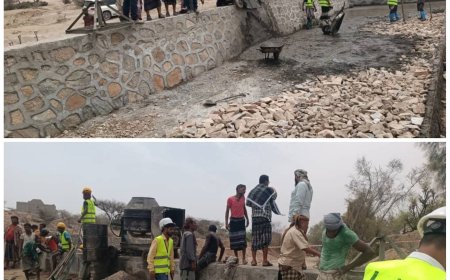 لحج.. تواصل العمل في مشروع زراعي بطور الباحة  