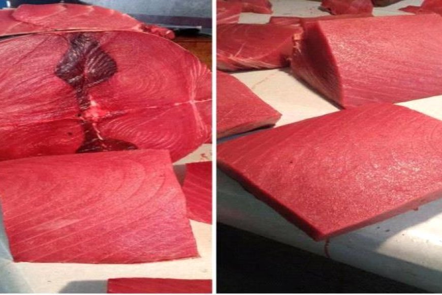 أسعار الأسماك اليوم الاثنين فى عدن