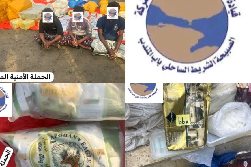 ضبط قارب على متنه نصف طن من الحشيش قرب باب المندب