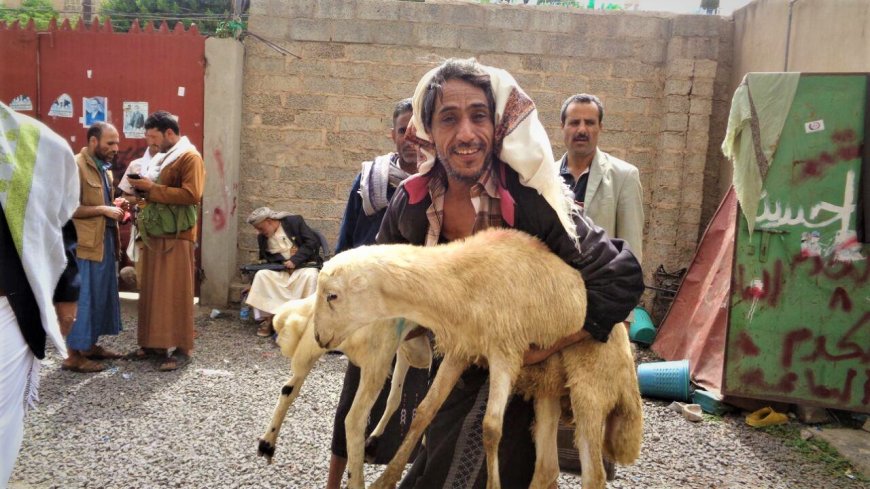ارتفاع كبير في أسعار أضاحي العيد بعدن